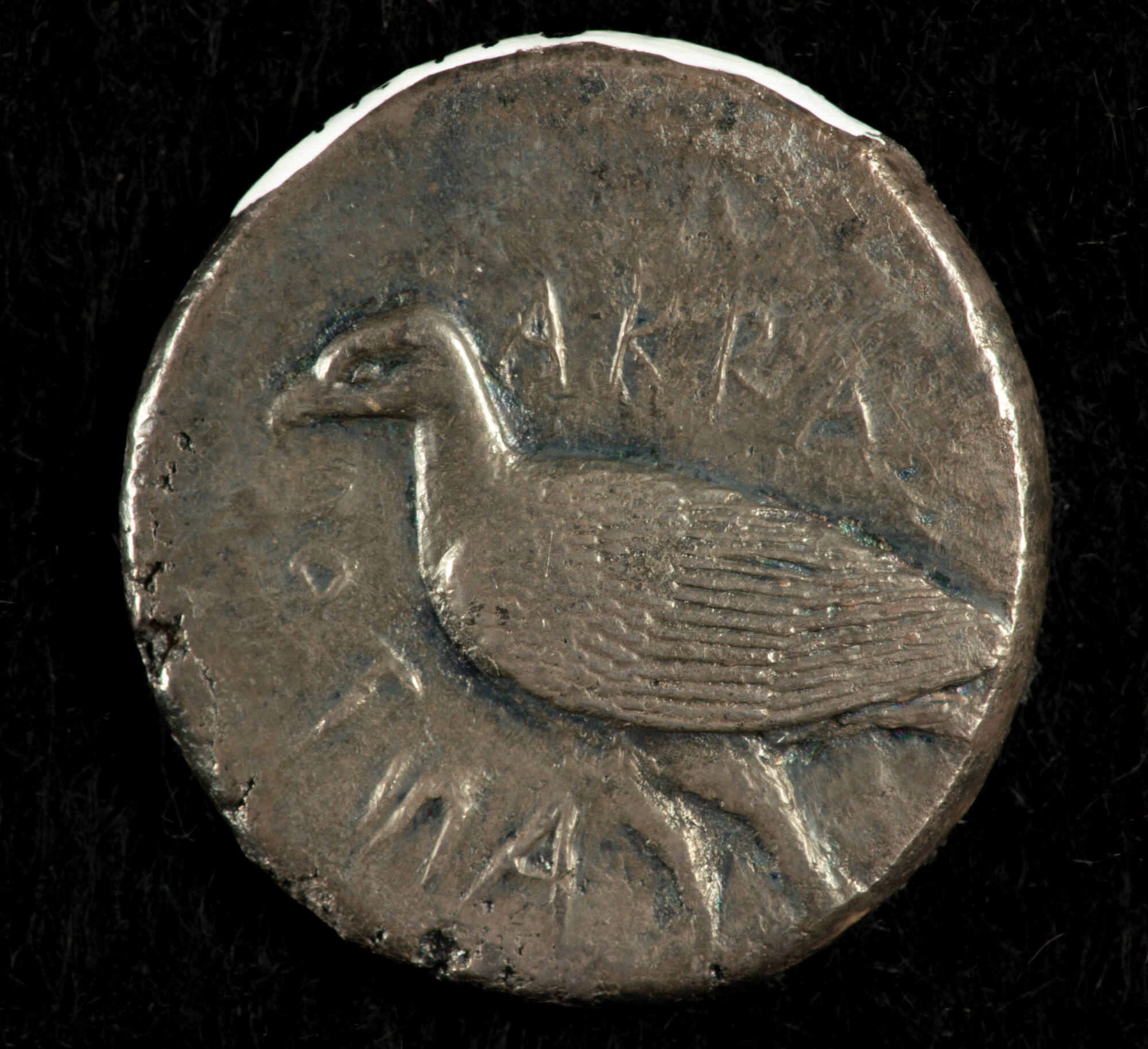 Tetradrachm of Akragas