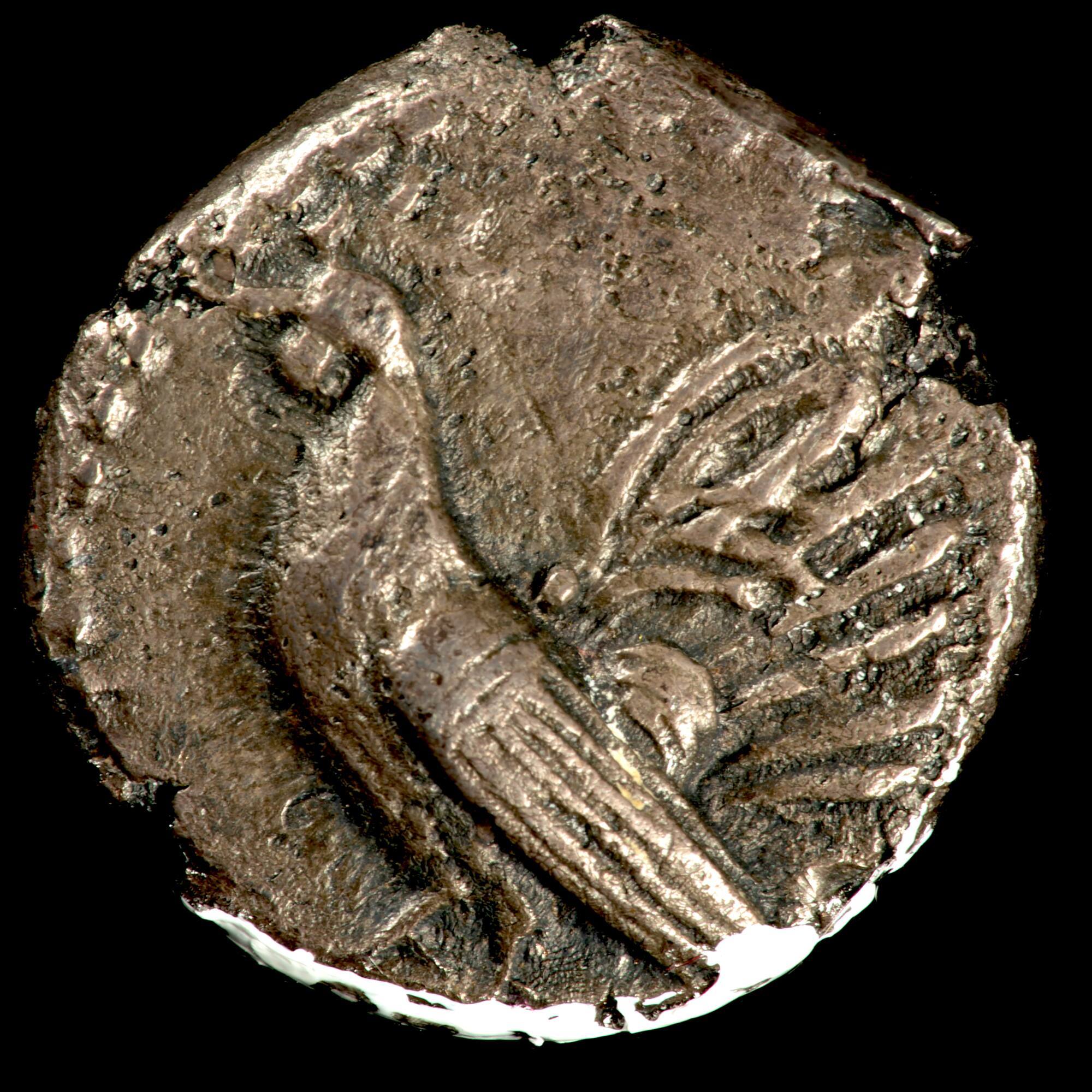 Drachm of Himera, Sicily