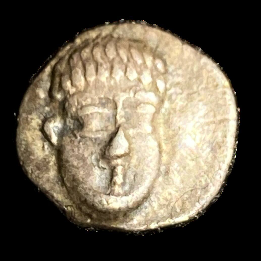 Didrachm of Phistelia, Campania